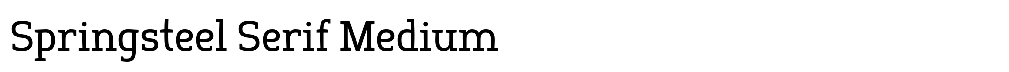 Springsteel Serif Medium image